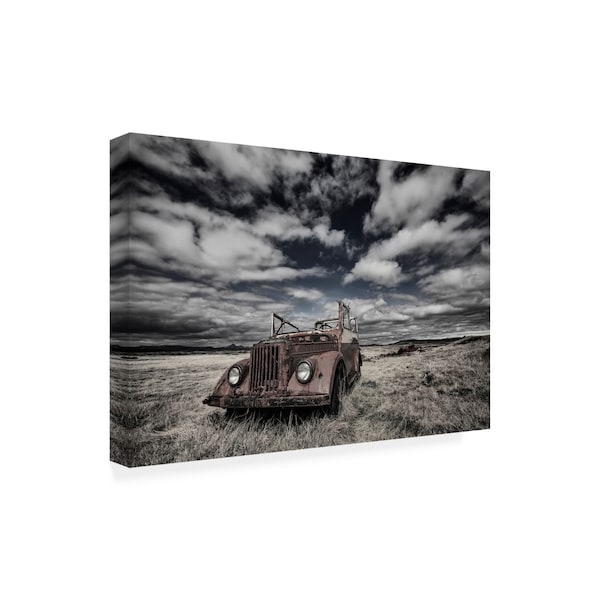 Bragi Ingibergsson 'The Eyes Rust' Canvas Art,22x32